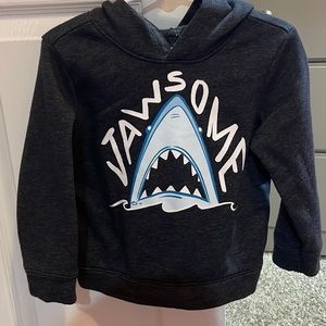 Old Navy- Toddler 3T hoodie